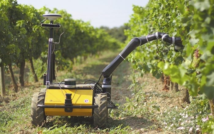 robot vinicola grape