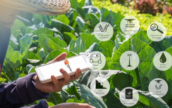 eurecat ruralapp 2019 convocatòria