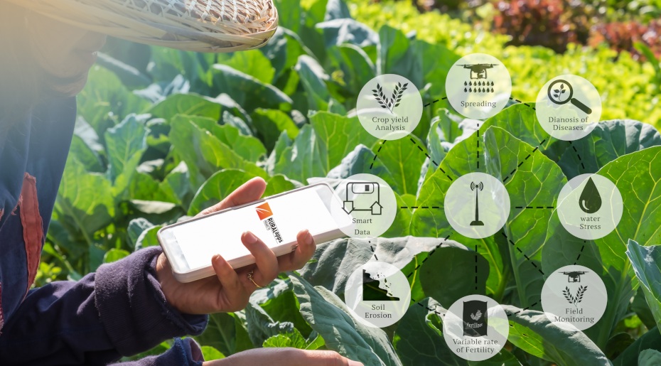 eurecat ruralapp 2019 convocatòria