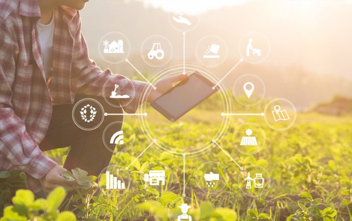 industria agroalimentaria segura