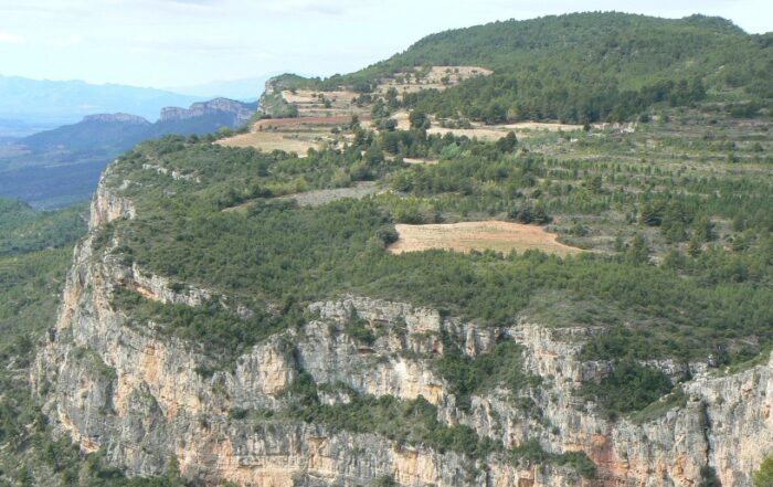 eurecat montsant priorat