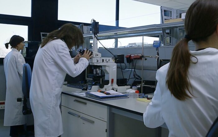 eurecat laboratori esmetex residus