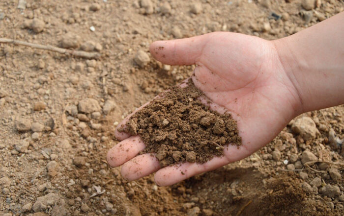 sols contaminats