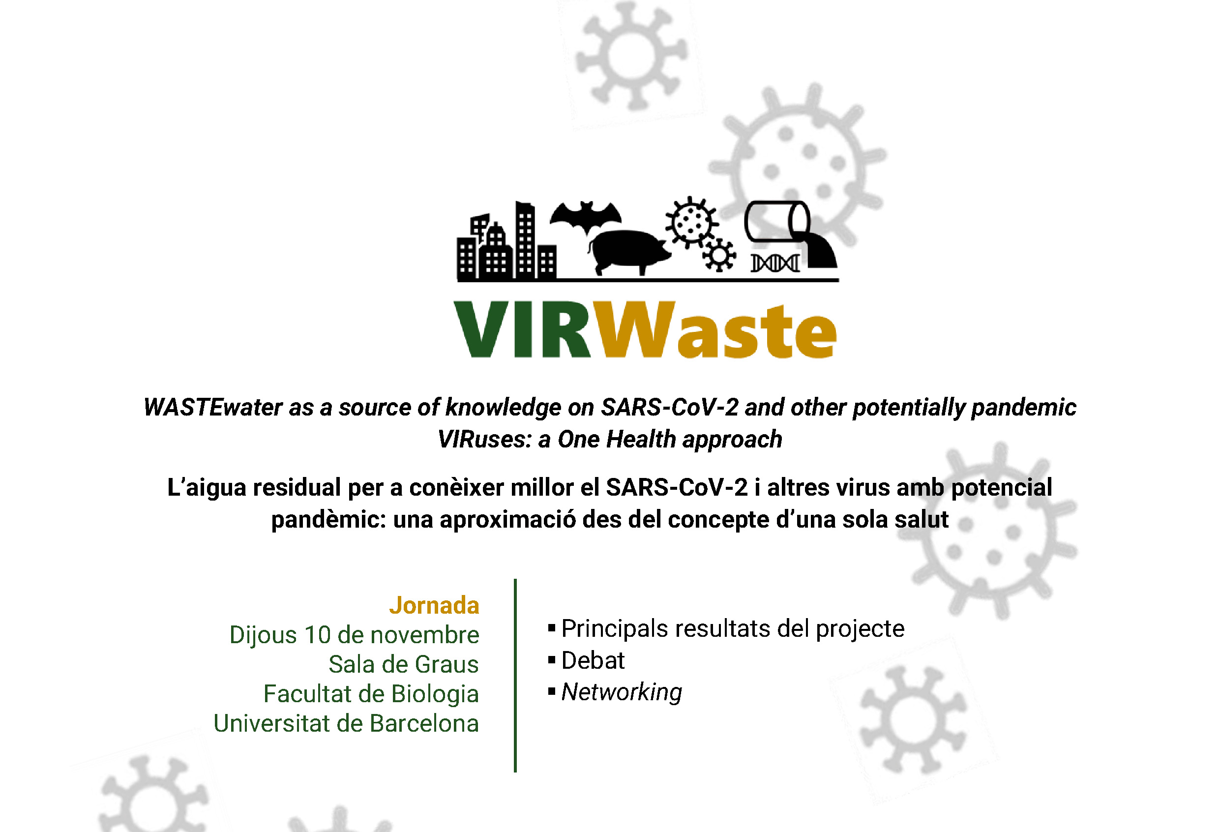 virwaste jornada