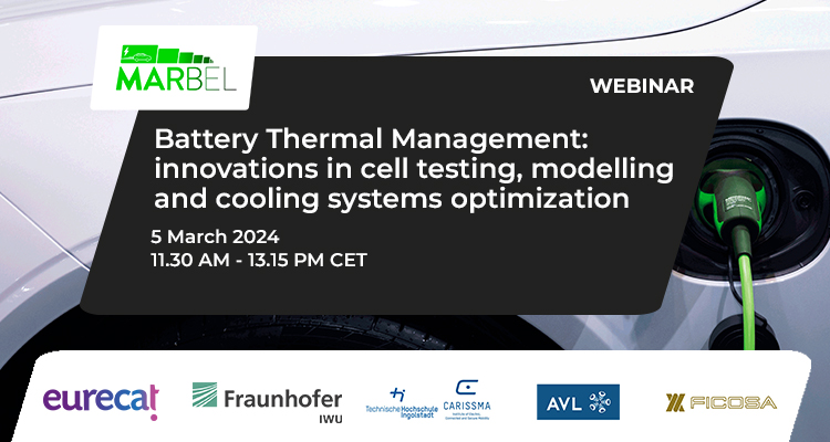 MARBEL project webinar