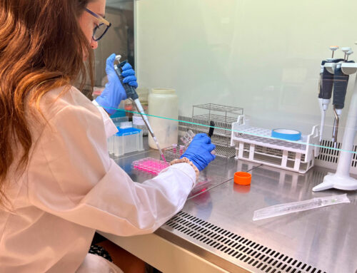 Eurecat innova en una estrategia de nutrición de precisión para contribuir a mejorar la salud de las personas mayores