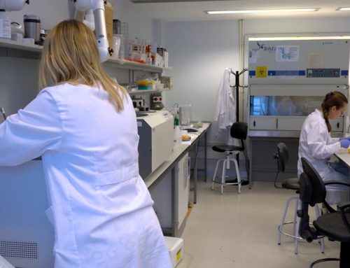 La biotecnología emergerá en 2026 integrando sostenibilidad, digitalización y la producción de alimentos para dar respuesta a los retos emergentes en nutrición y salud