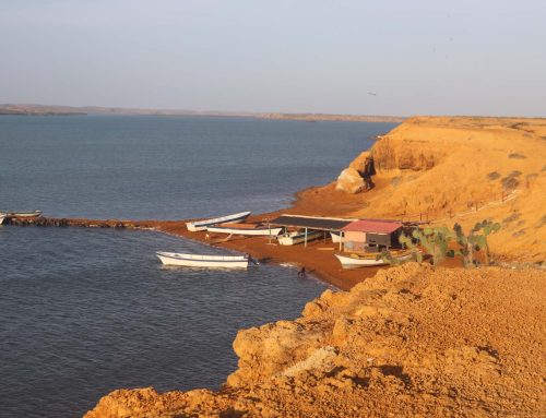 Ecoinnovatur La Guajira