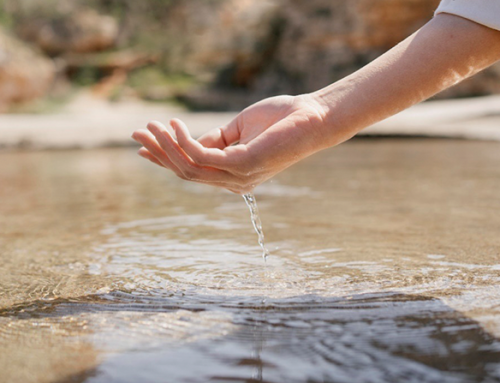 Protected: What are PFAS and how to remove them: technologies to reduce these “forever chemicals” in water