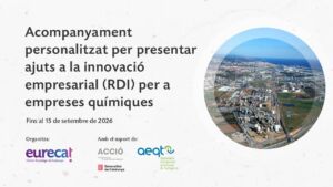 Acompanyament personalitzat per presentar ajuts a la innovació empresarial (RDI) per a empreses químiques